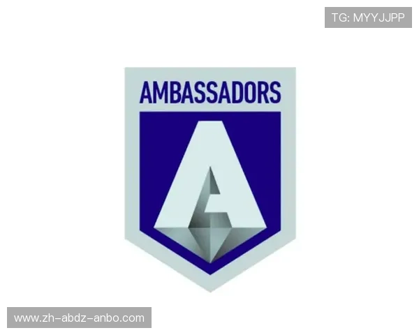 意甲球队注册球员人数情况