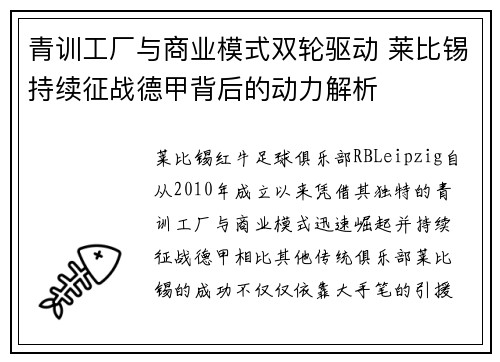 青训工厂与商业模式双轮驱动 莱比锡持续征战德甲背后的动力解析